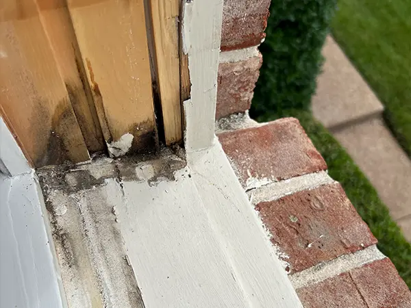 Ugly mold in wood frame