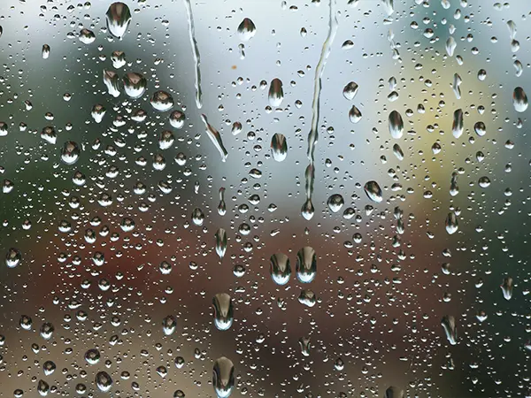 Water drops on a window glass