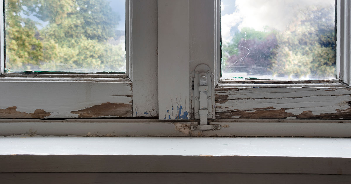 The Hidden Dangers of Dry Rot, Termites, and Toxic Mold in Your Windows