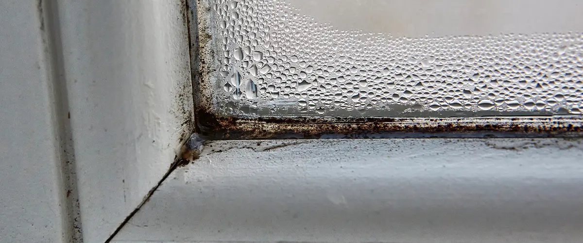 Close-up of a window frame with condensation and mold, showing water droplets and signs of moisture damage.