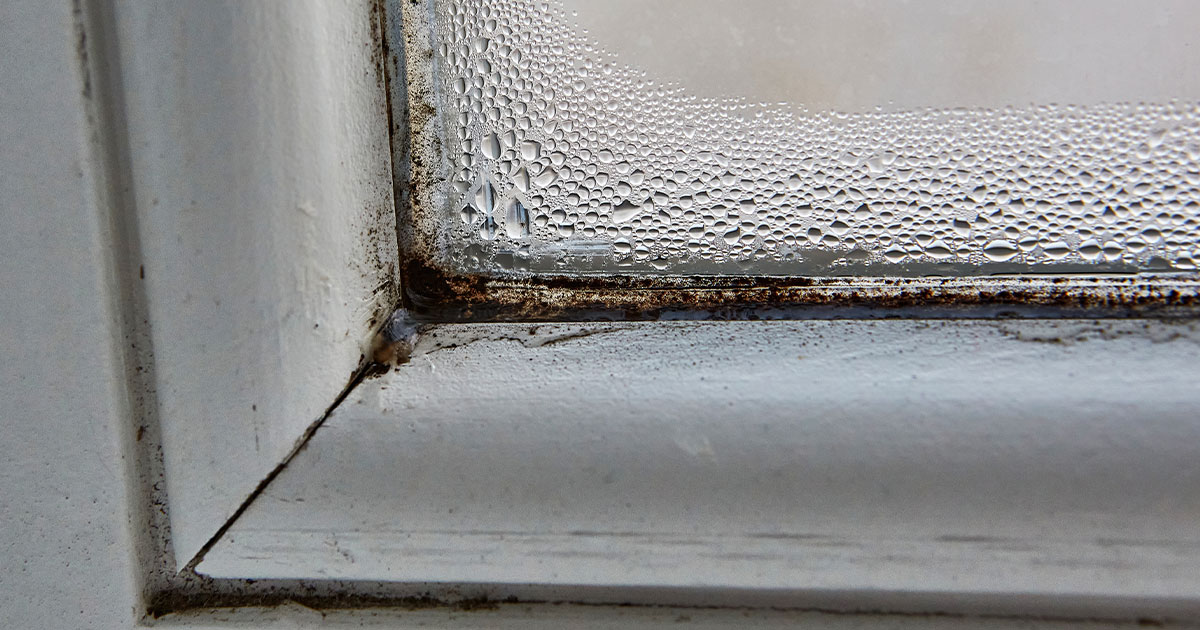 The Essential Role of Yearly Window Inspections in Protecting Your Home