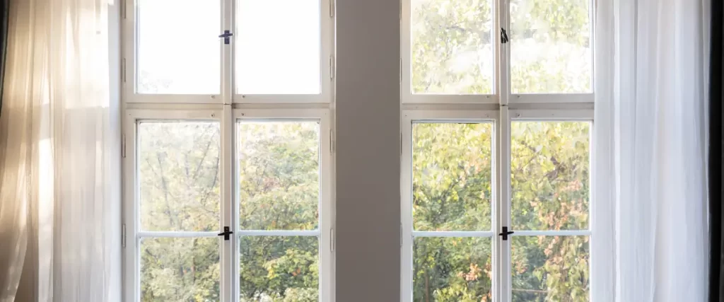 A bright view through a white-framed window looking out onto green trees on a sunny day.