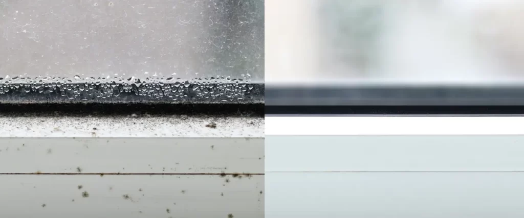 Close-up of a window with condensation and mold buildup along the sill and frame.