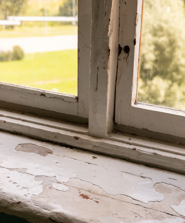 Close up of a white wooden window frame with severely peeling paint and wood rot on the sill.